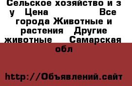 Сельское хозяйство и з/у › Цена ­ 2 500 000 - Все города Животные и растения » Другие животные   . Самарская обл.